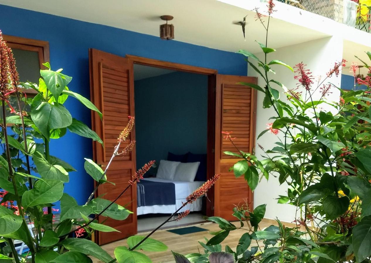 Pousada Casa Viva A Vida Lencois Exteriör bild